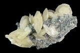 Calcite Crystals on Druzy Quartz and Fluorite - China #124856-2